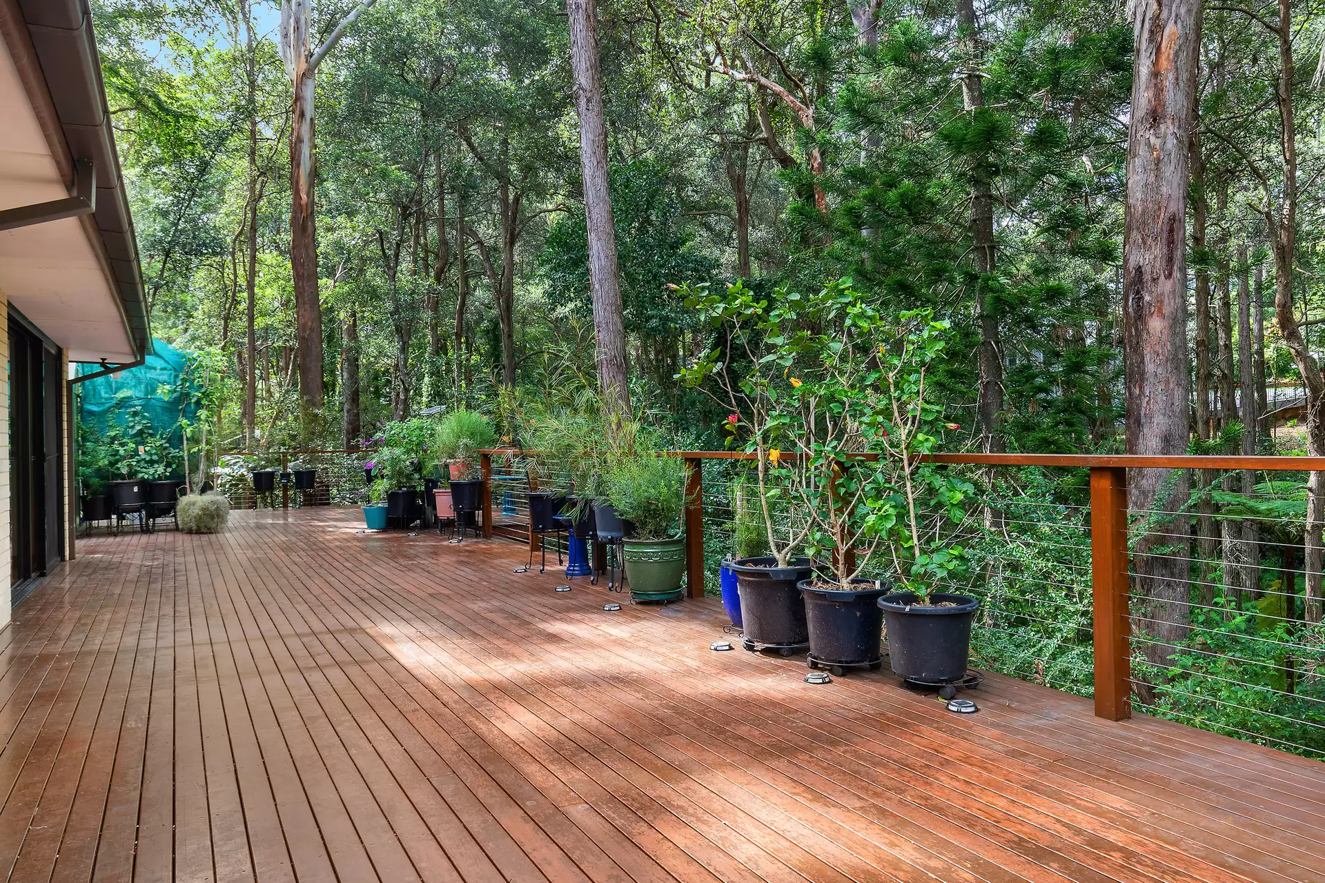 79 Rosedale Road, Pymble Leased by The Marshall Group - image 7