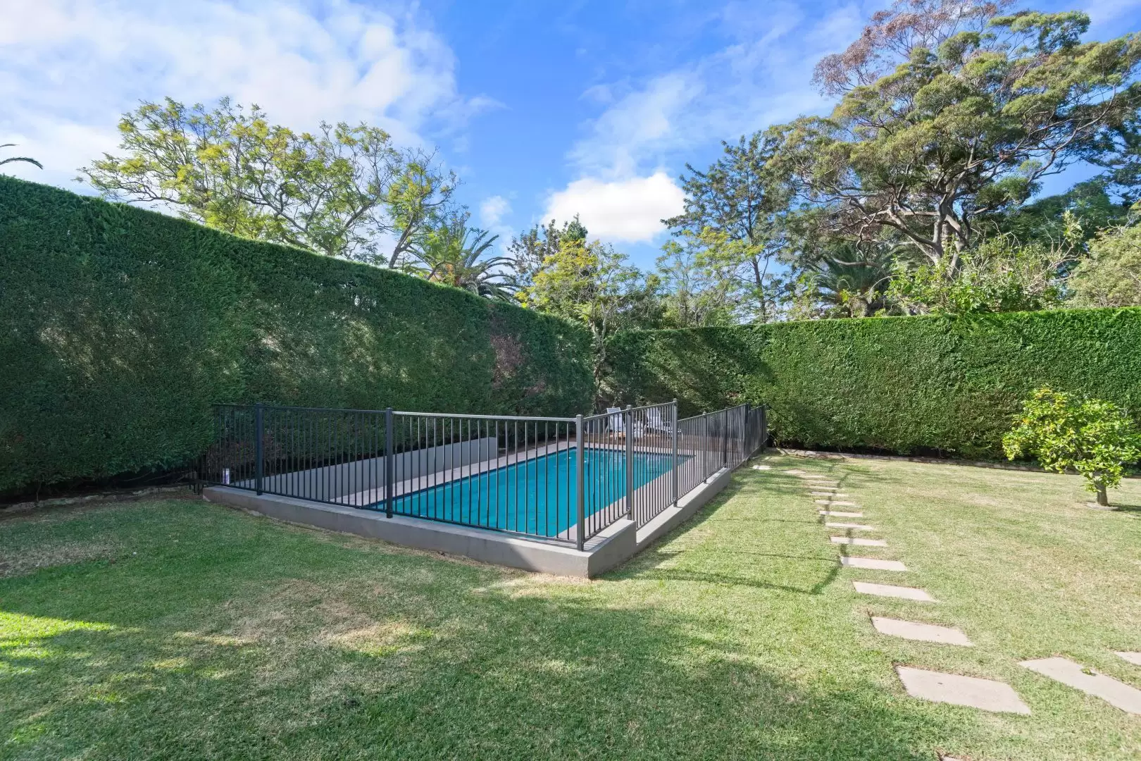 7 Archbold Road, Roseville Leased by The Marshall Group - image 4