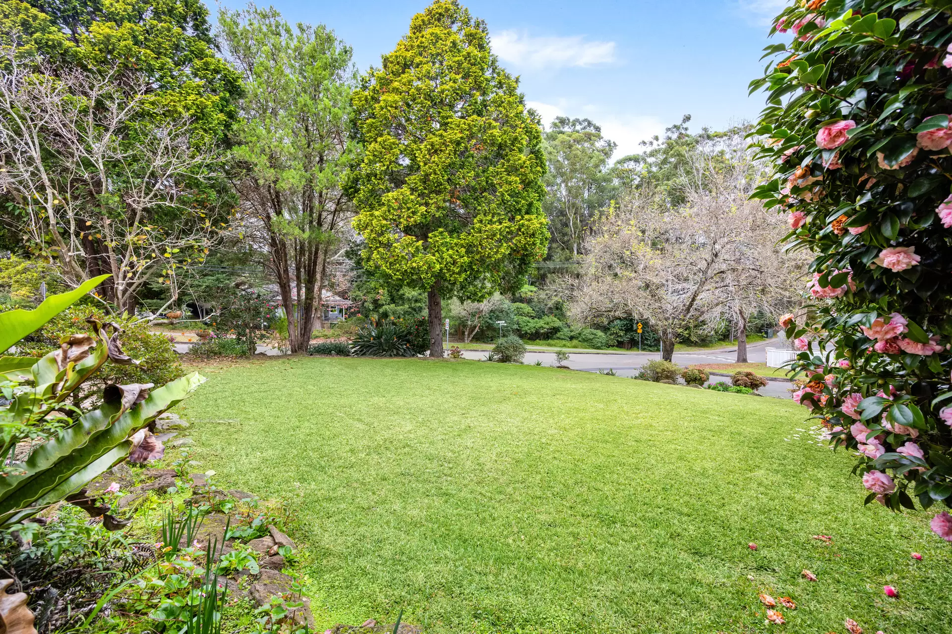 19 Lynbara Avenue, St Ives Leased by The Marshall Group - image 6
