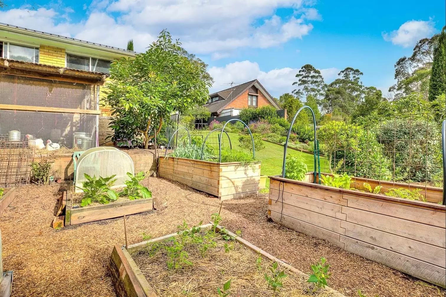 30 Somerset Avenue, Turramurra Leased by The Marshall Group - image 4