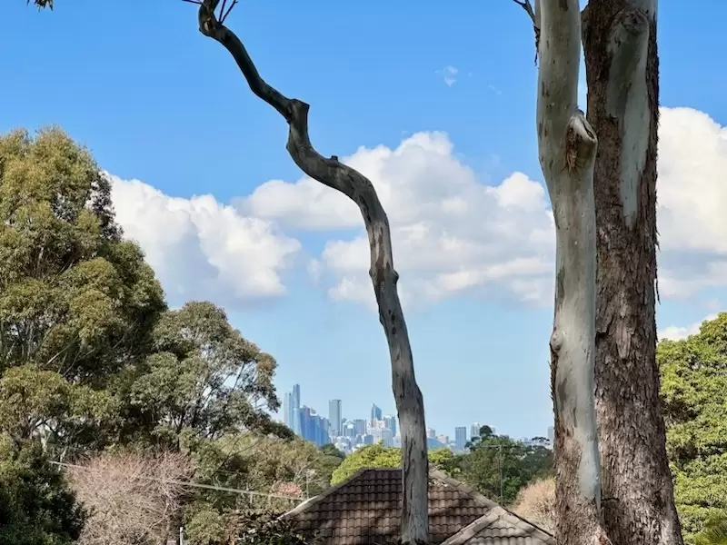 38A Dorritt Street, Lane Cove Leased by The Marshall Group - image 7