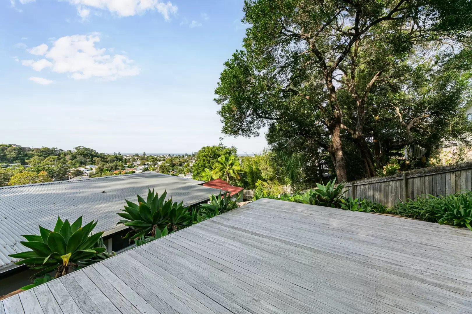 75a Rickard Road, North Narrabeen Leased by The Marshall Group - image 4