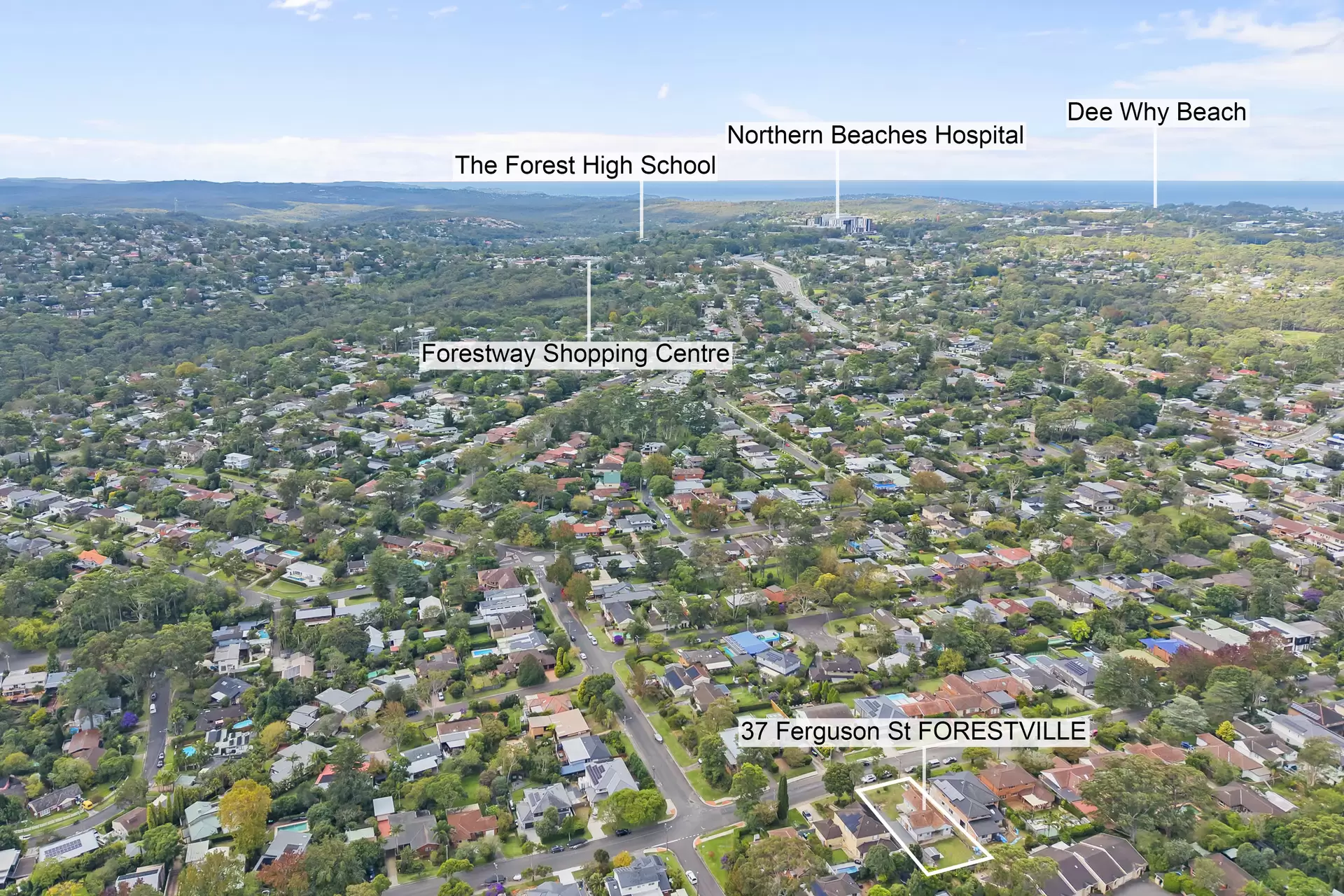 37 Ferguson Street, Forestville Sold by The Marshall Group - image 9
