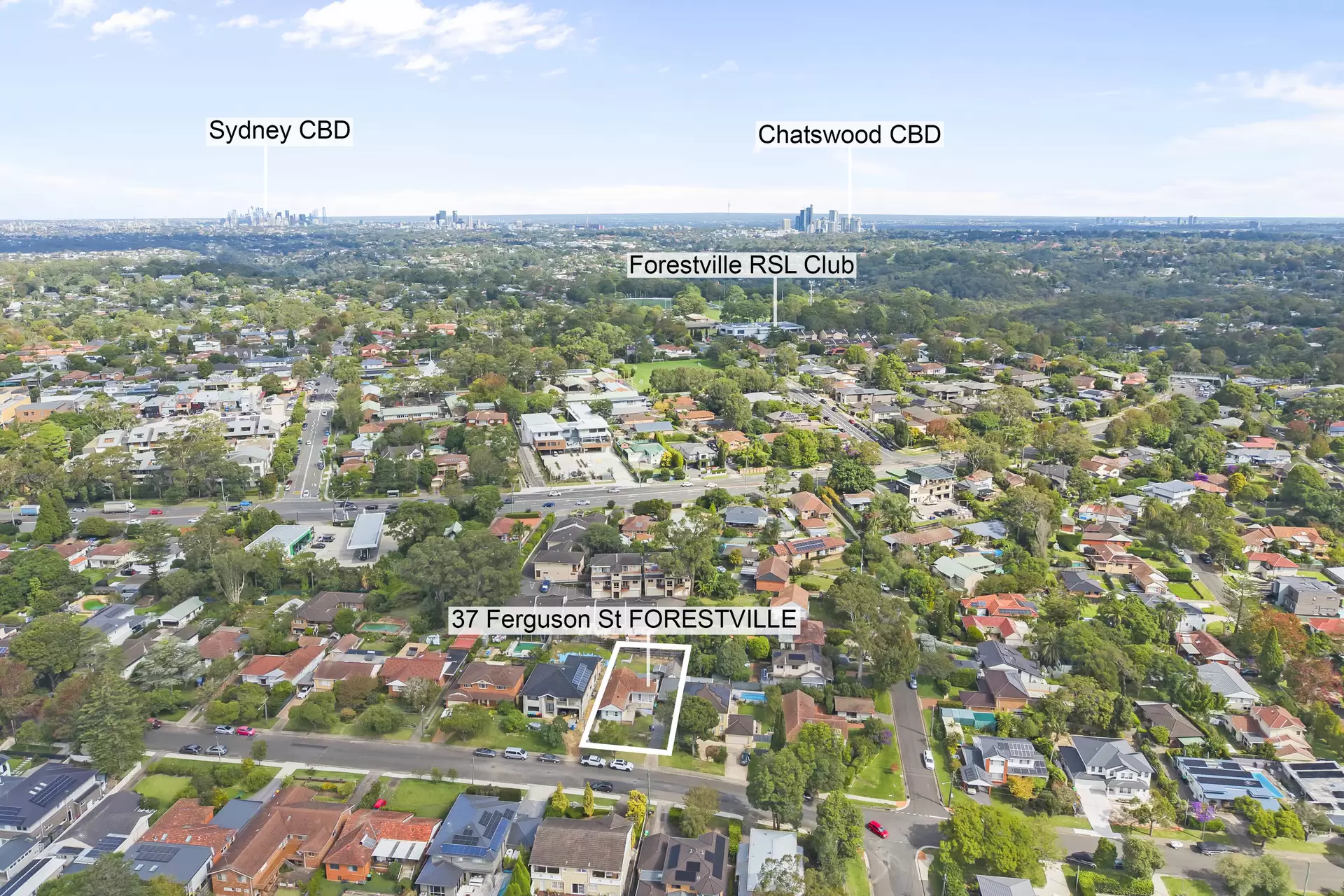 37 Ferguson Street, Forestville Sold by The Marshall Group - image 7