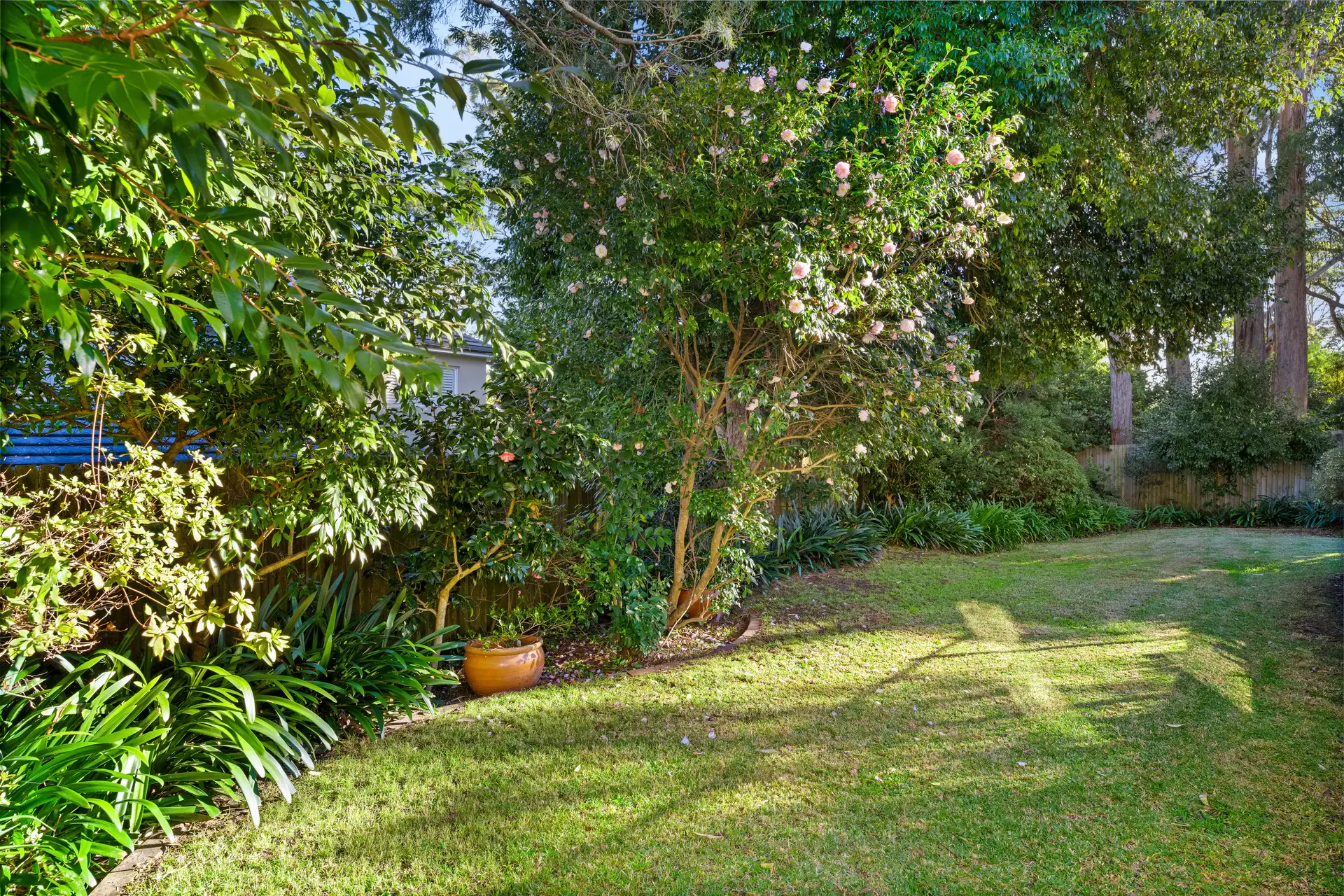 22 Glendale Road, Turramurra Sold by The Marshall Group - image 14
