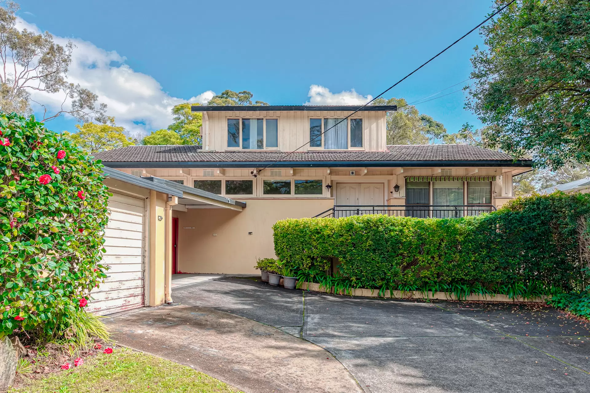 18 Bowes Avenue, Killara Leased by The Marshall Group - image 6