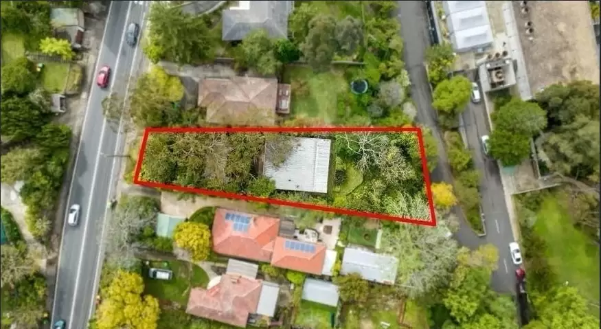 19 Millwood Avenue, Chatswood West Leased by The Marshall Group - image 6