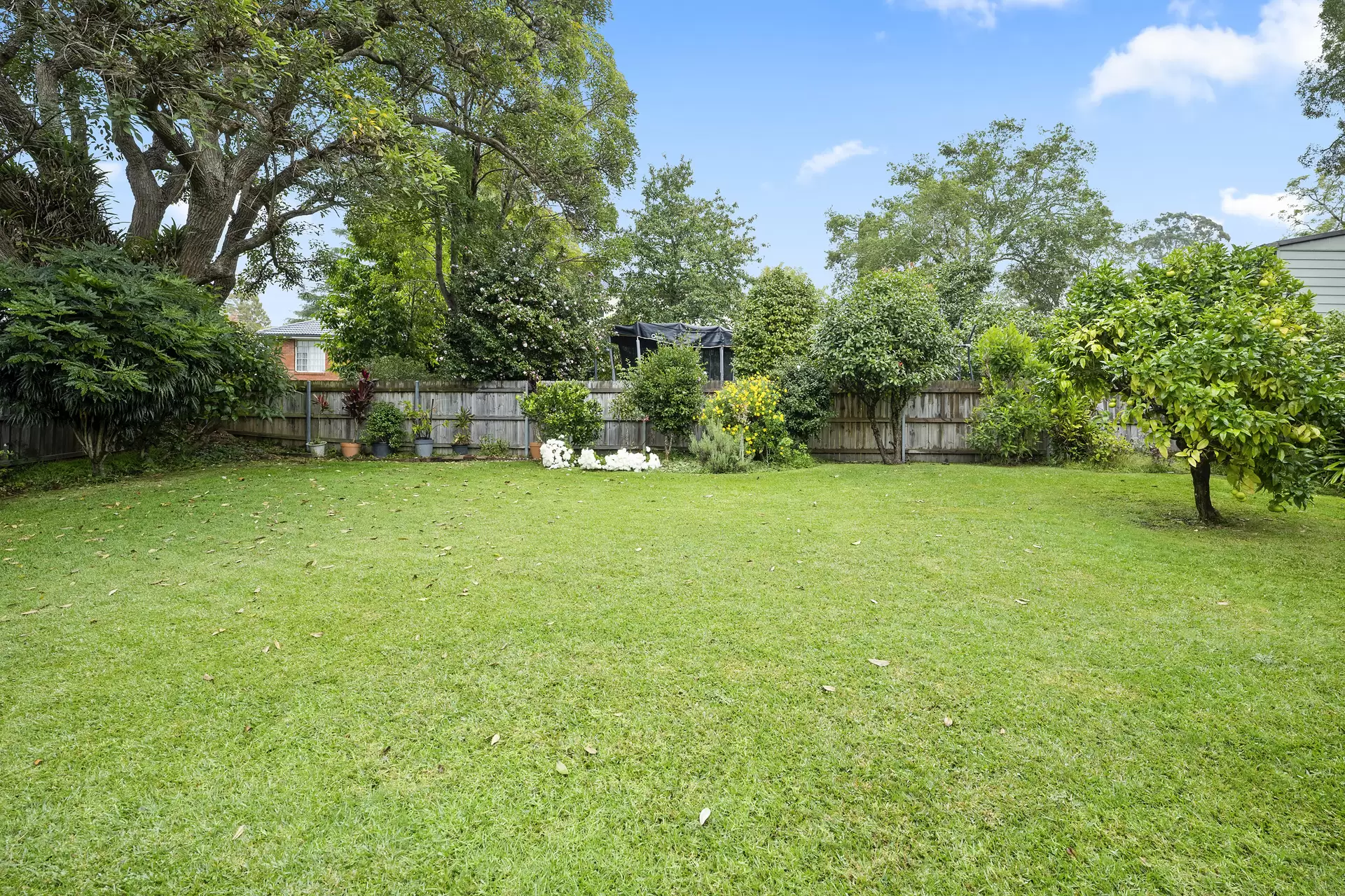 34 Ellalong Road, North Turramurra Sold by The Marshall Group - image 10