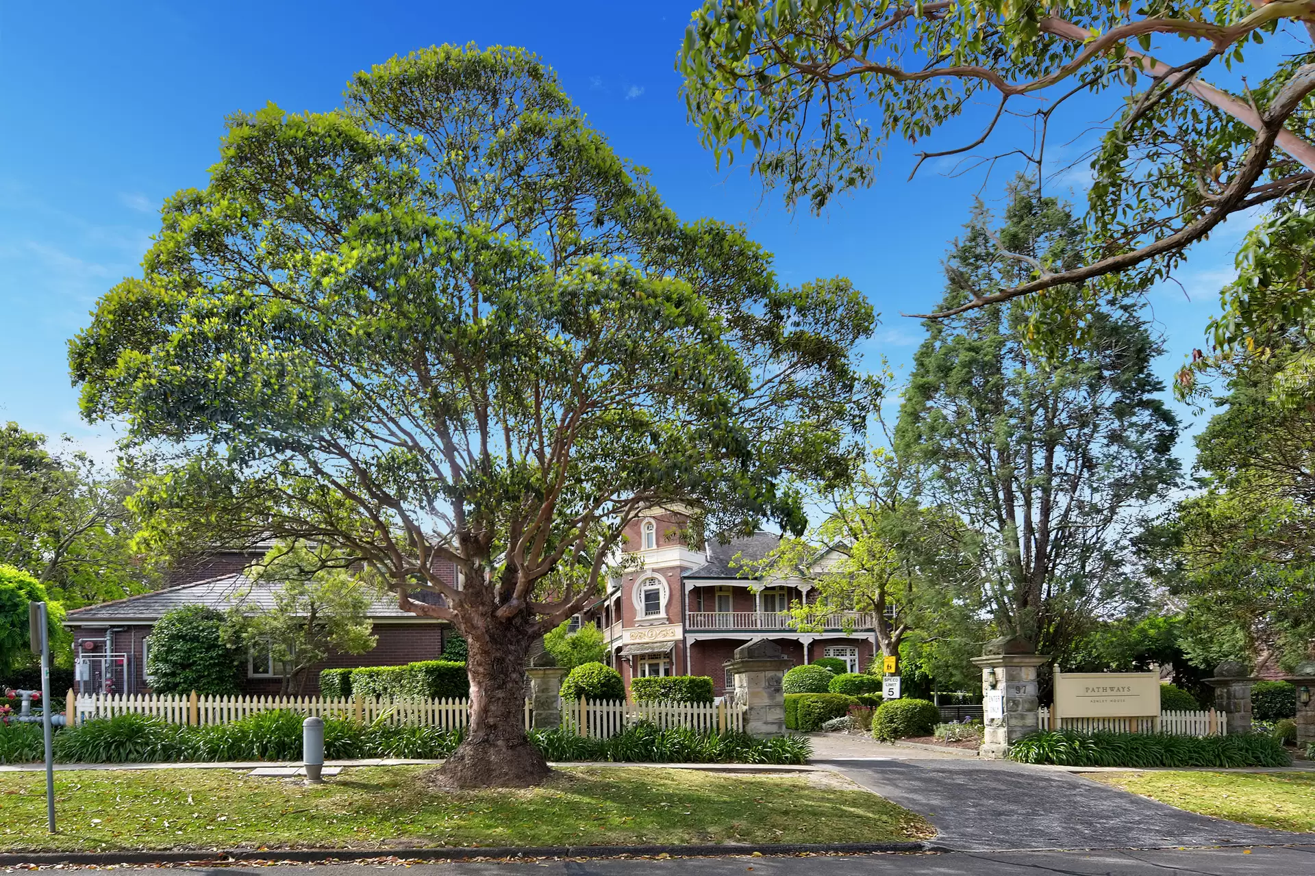 97 Ashley Street, Roseville Sold by The Marshall Group - image 13