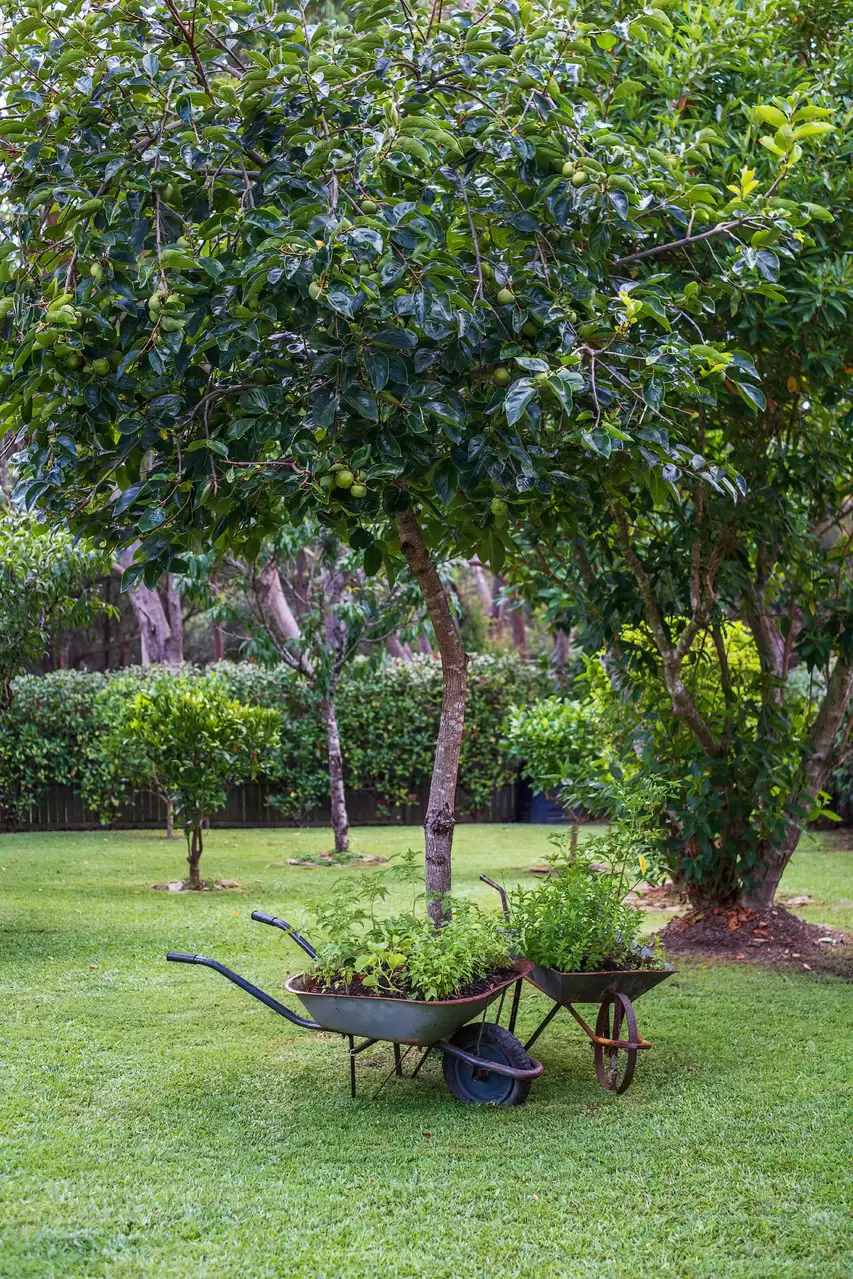 26 The Broadway, Wahroonga Sold by The Marshall Group - image 15