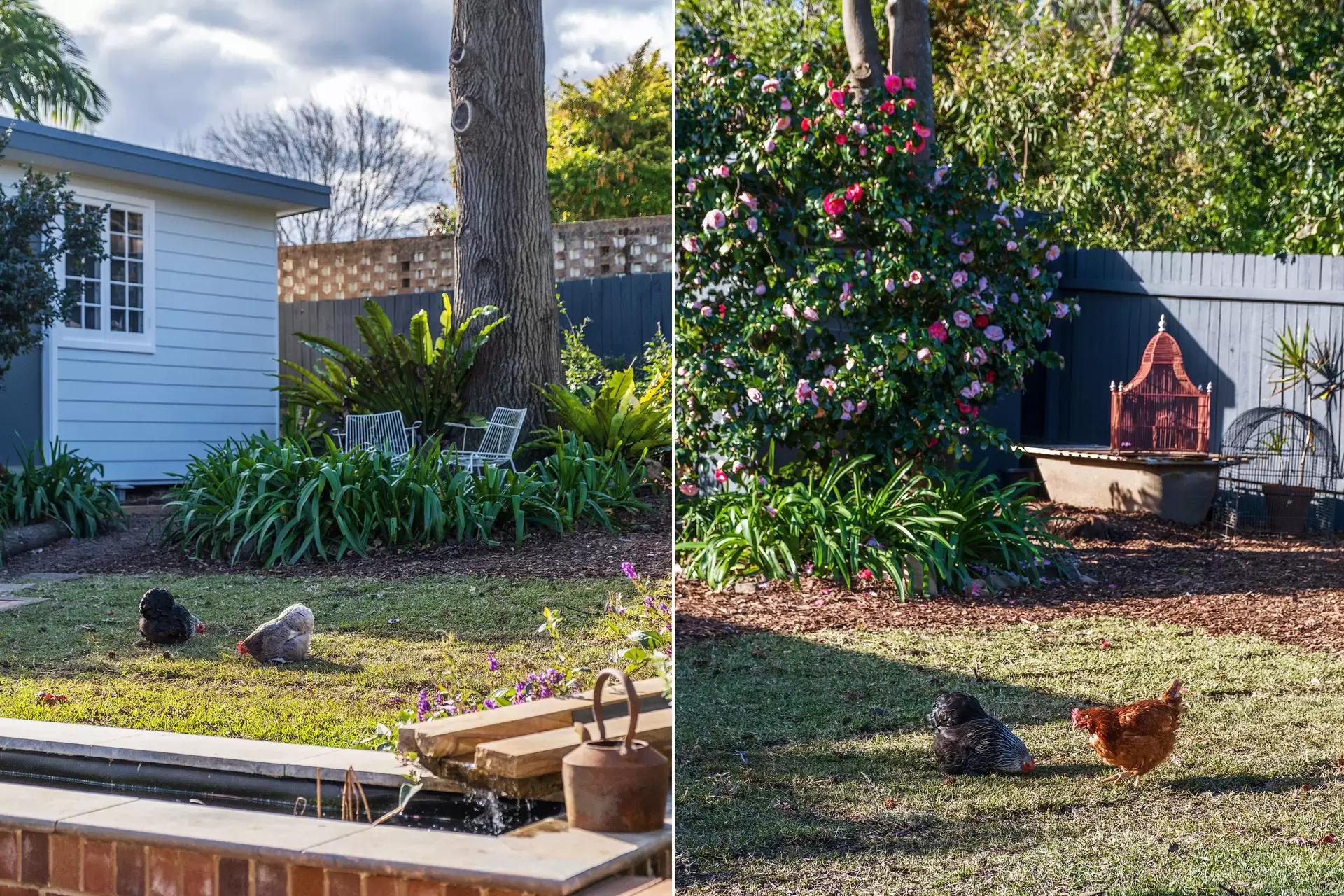 3 Edgecombe Avenue, Wahroonga Sold by The Marshall Group - image 18