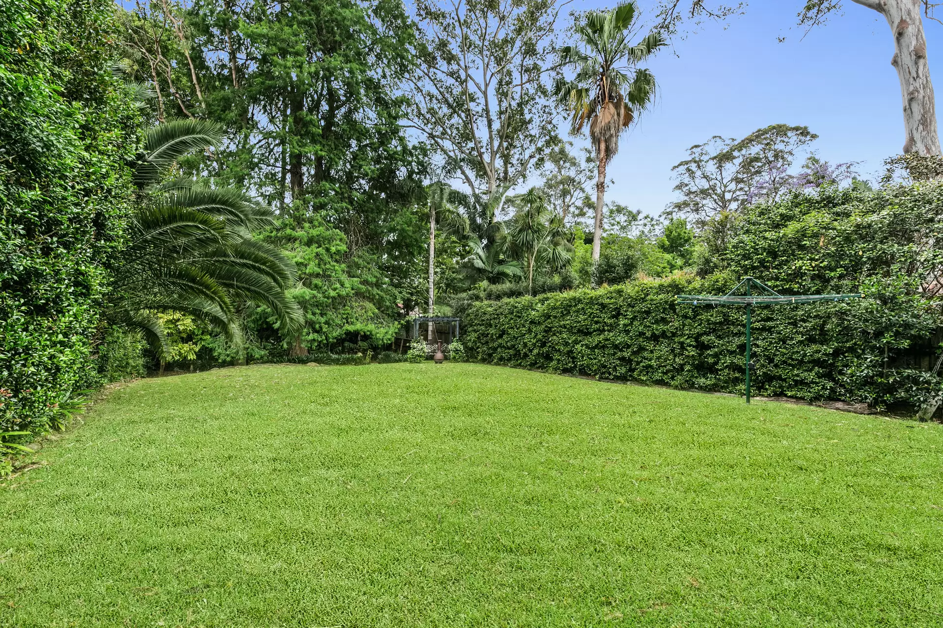 17 Maitland Street, Killara Leased by The Marshall Group - image 8