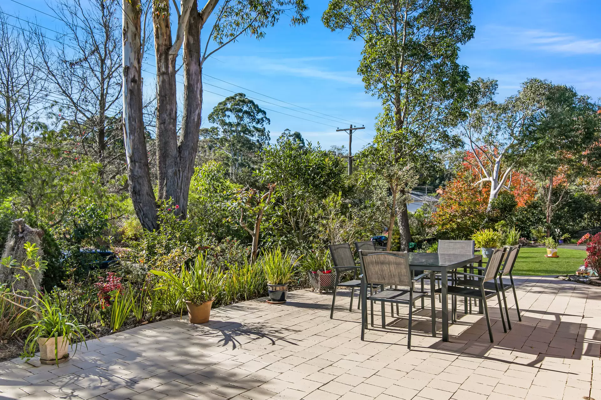 16 Page Avenue, Wahroonga Leased by The Marshall Group - image 10