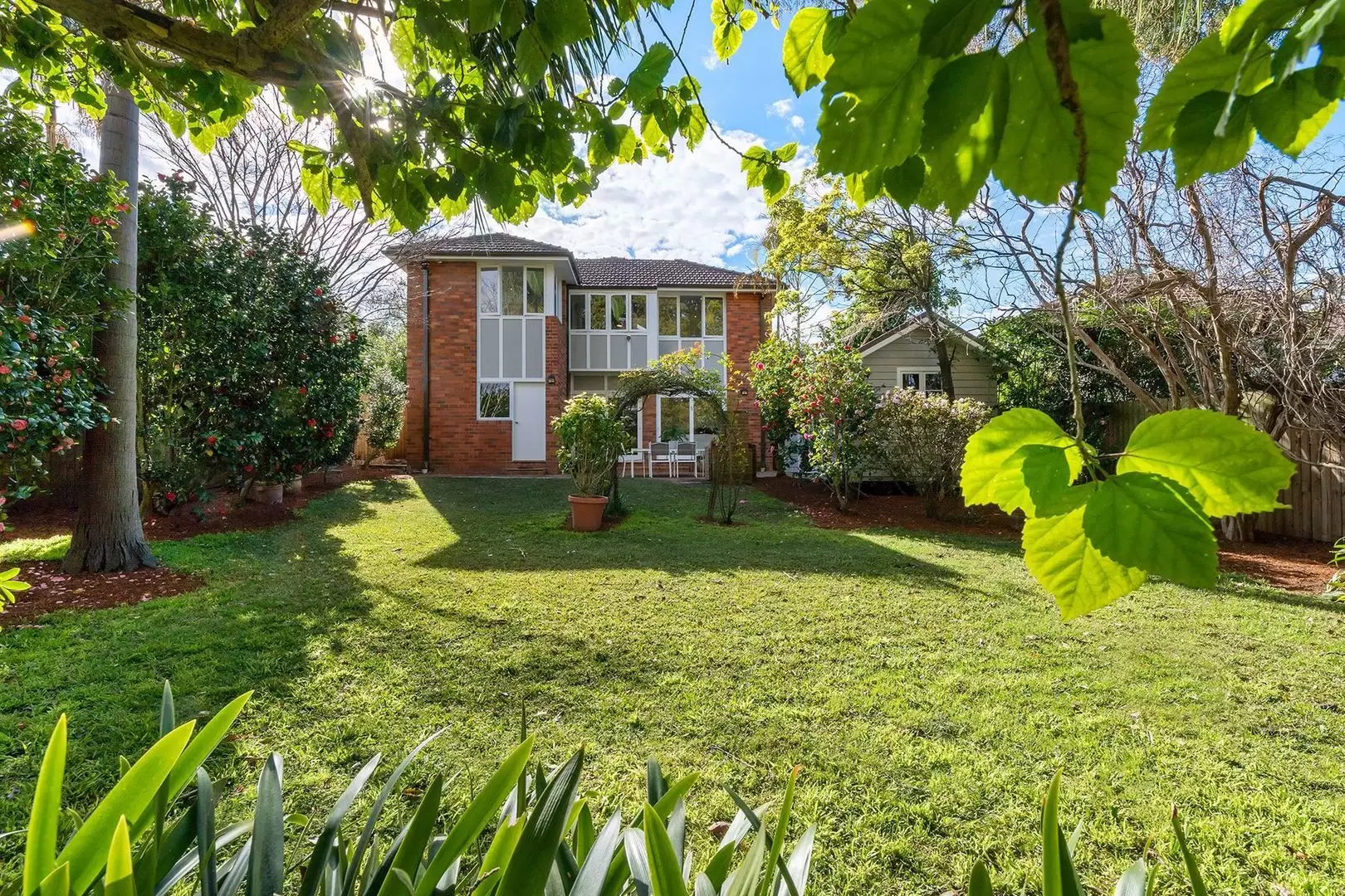 55 Duntroon Avenue, Roseville Leased by The Marshall Group - image 3