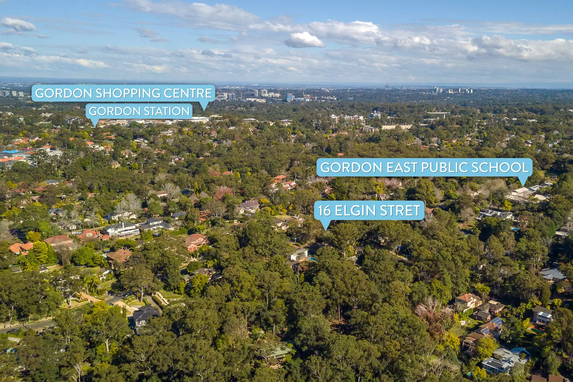 16 Elgin Street, Gordon Sold by The Marshall Group - image 8