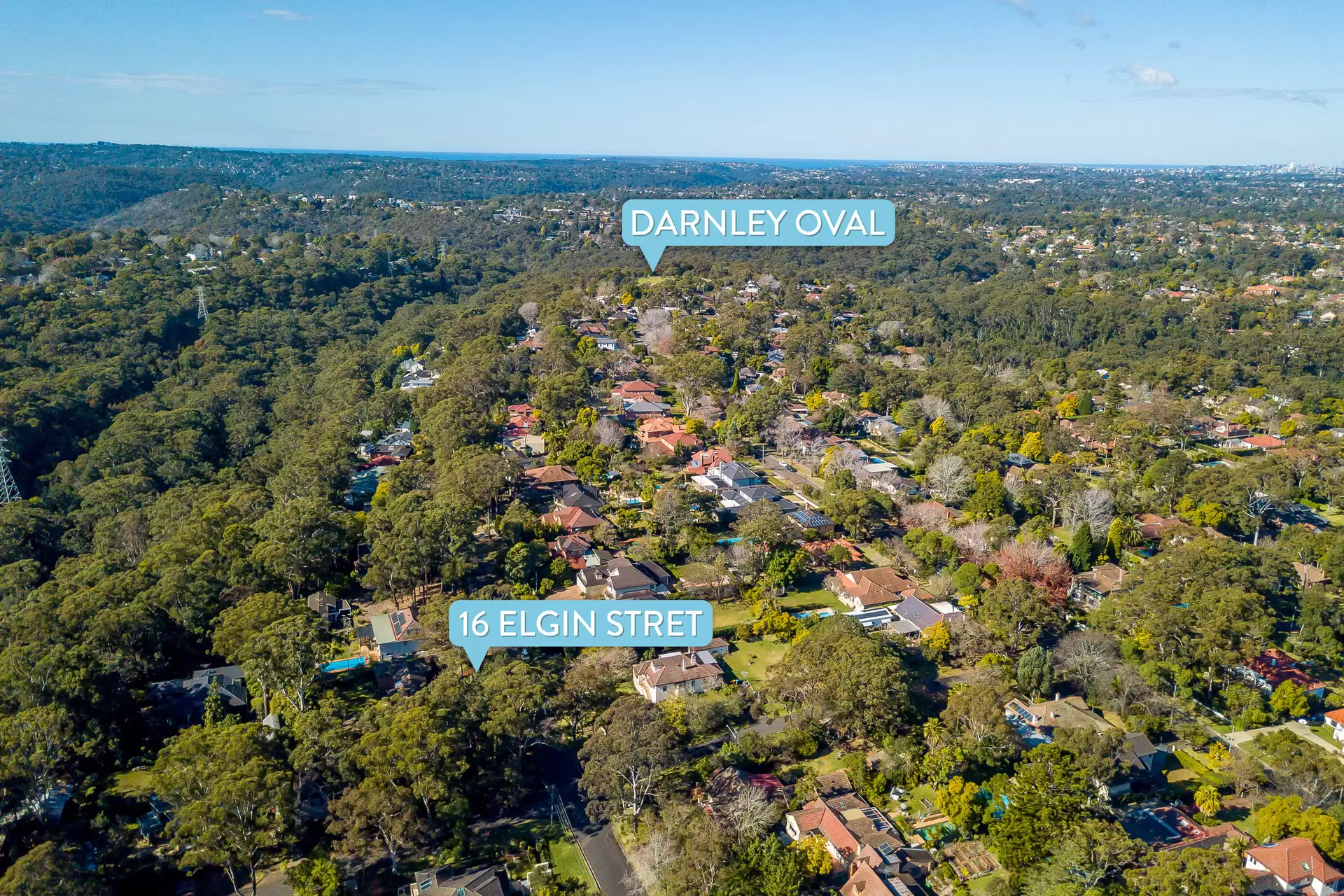 16 Elgin Street, Gordon Sold by The Marshall Group - image 9