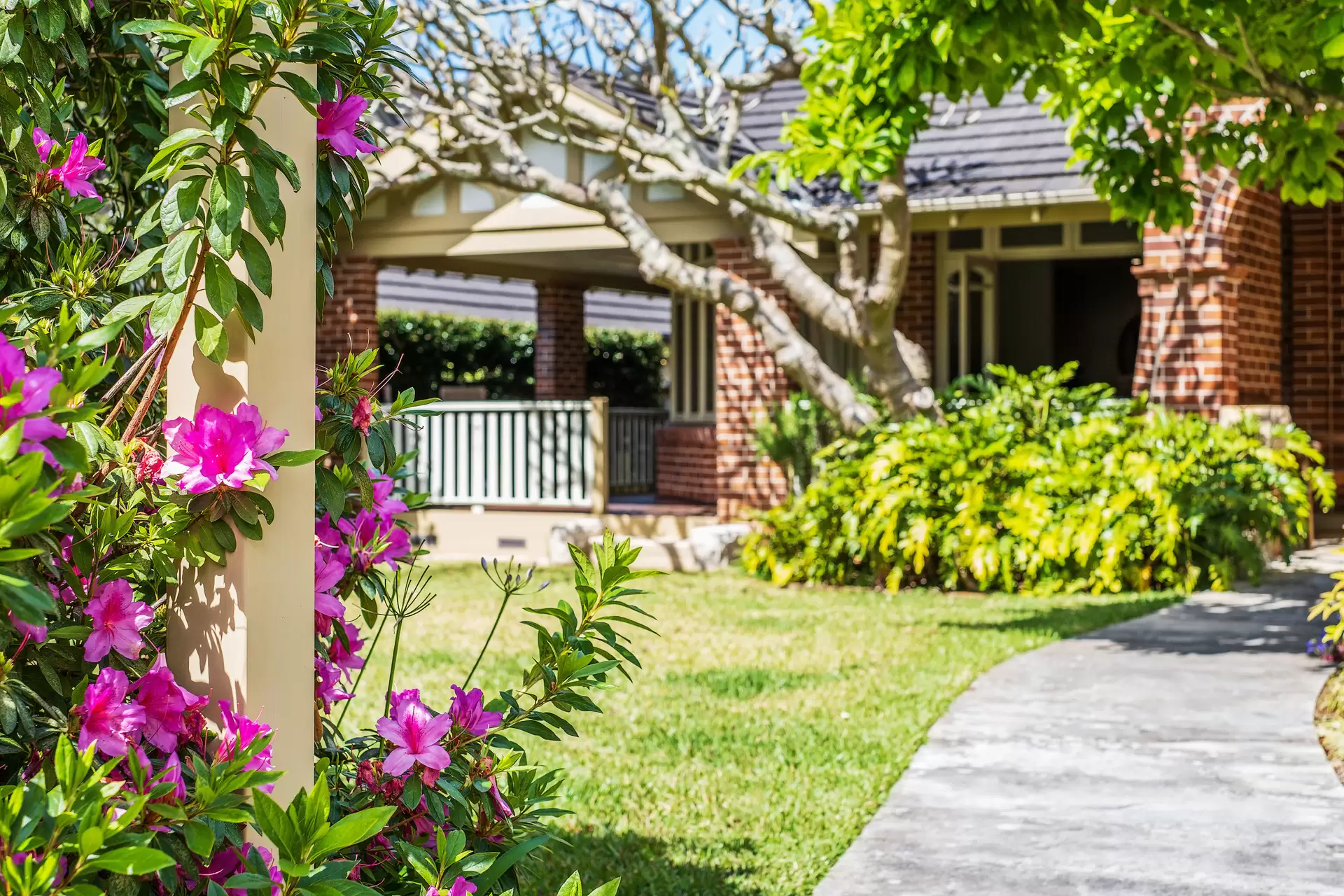 5/15 Park Avenue, Gordon Sold by The Marshall Group - image 3