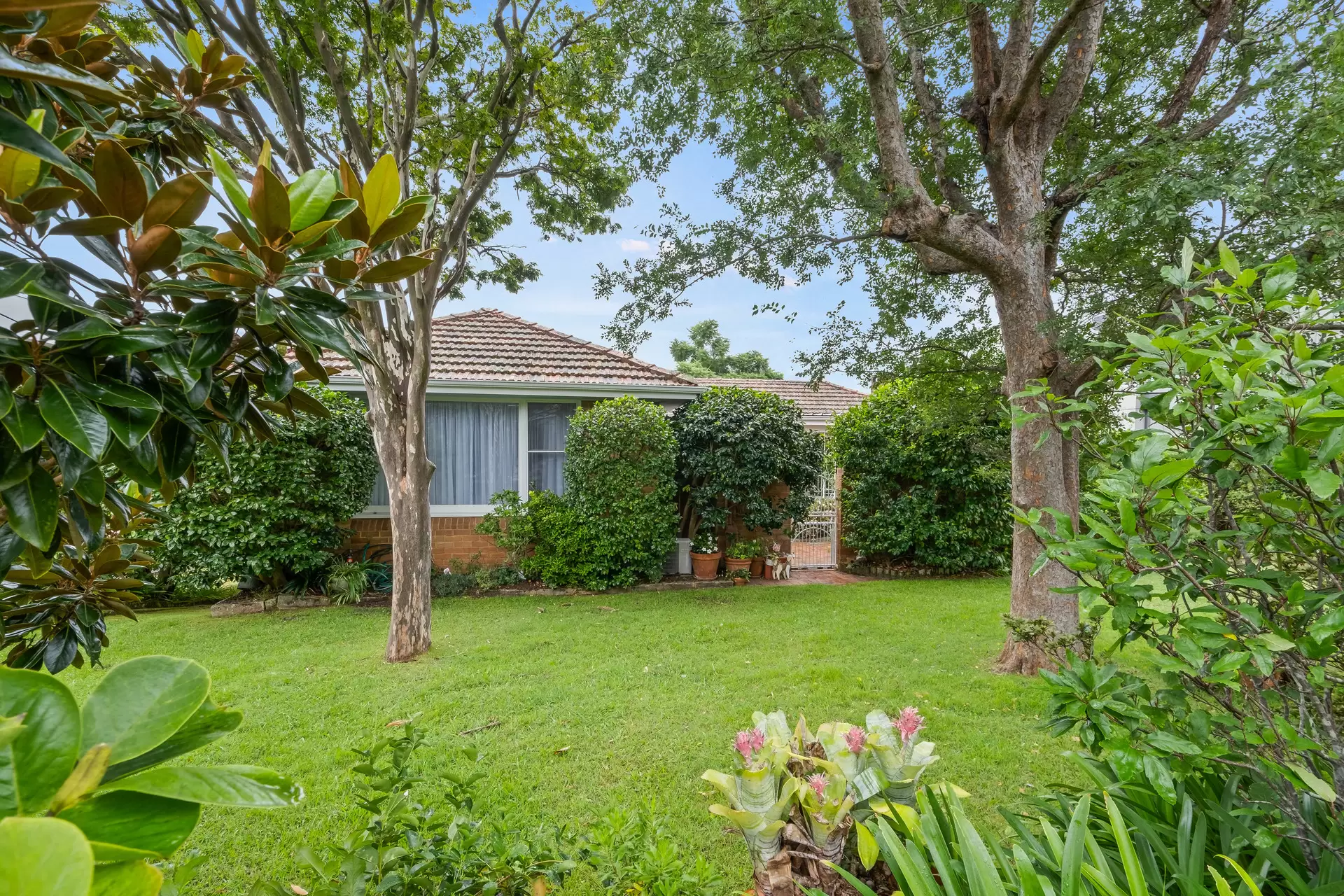 9 Lyle Avenue, Lindfield Sold by The Marshall Group - image 2