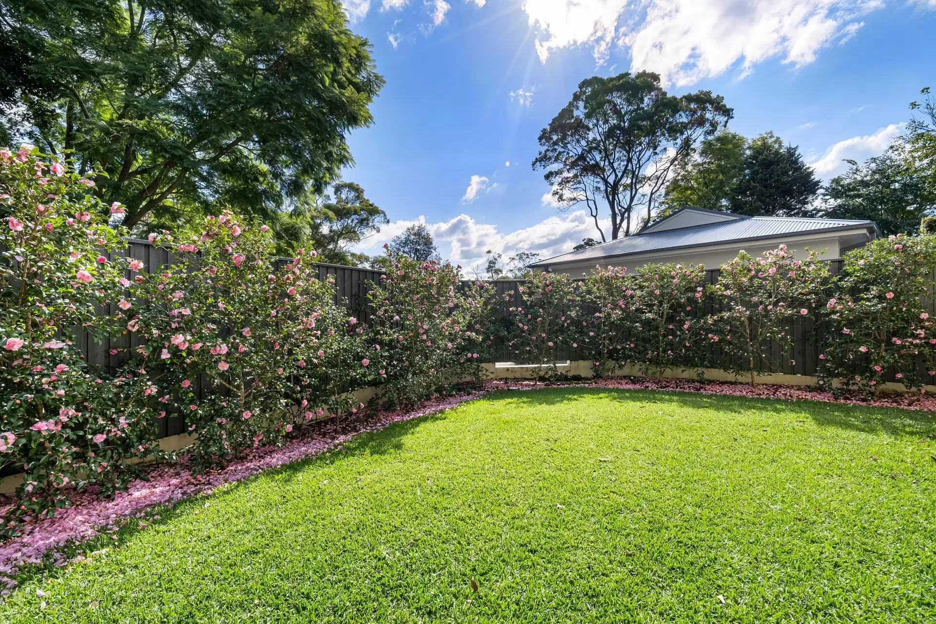1 Valley Park Crescent, Turramurra Sold by The Marshall Group - image 12