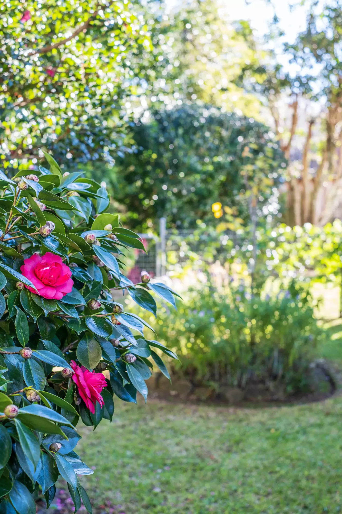 2 Wiltshire Place, Turramurra Sold by The Marshall Group - image 18