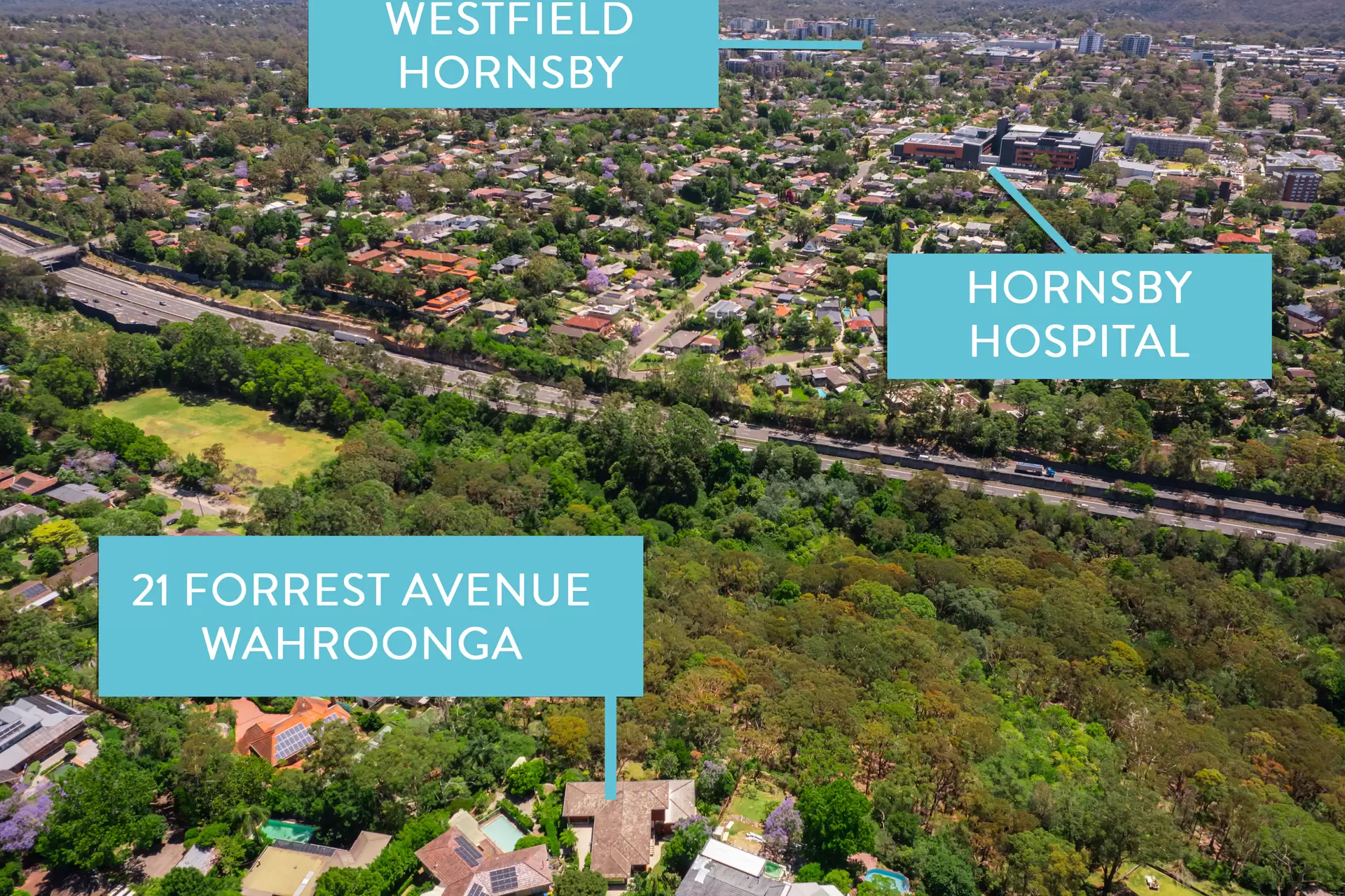 21 Forrest Avenue, Wahroonga Sold by The Marshall Group - image 12