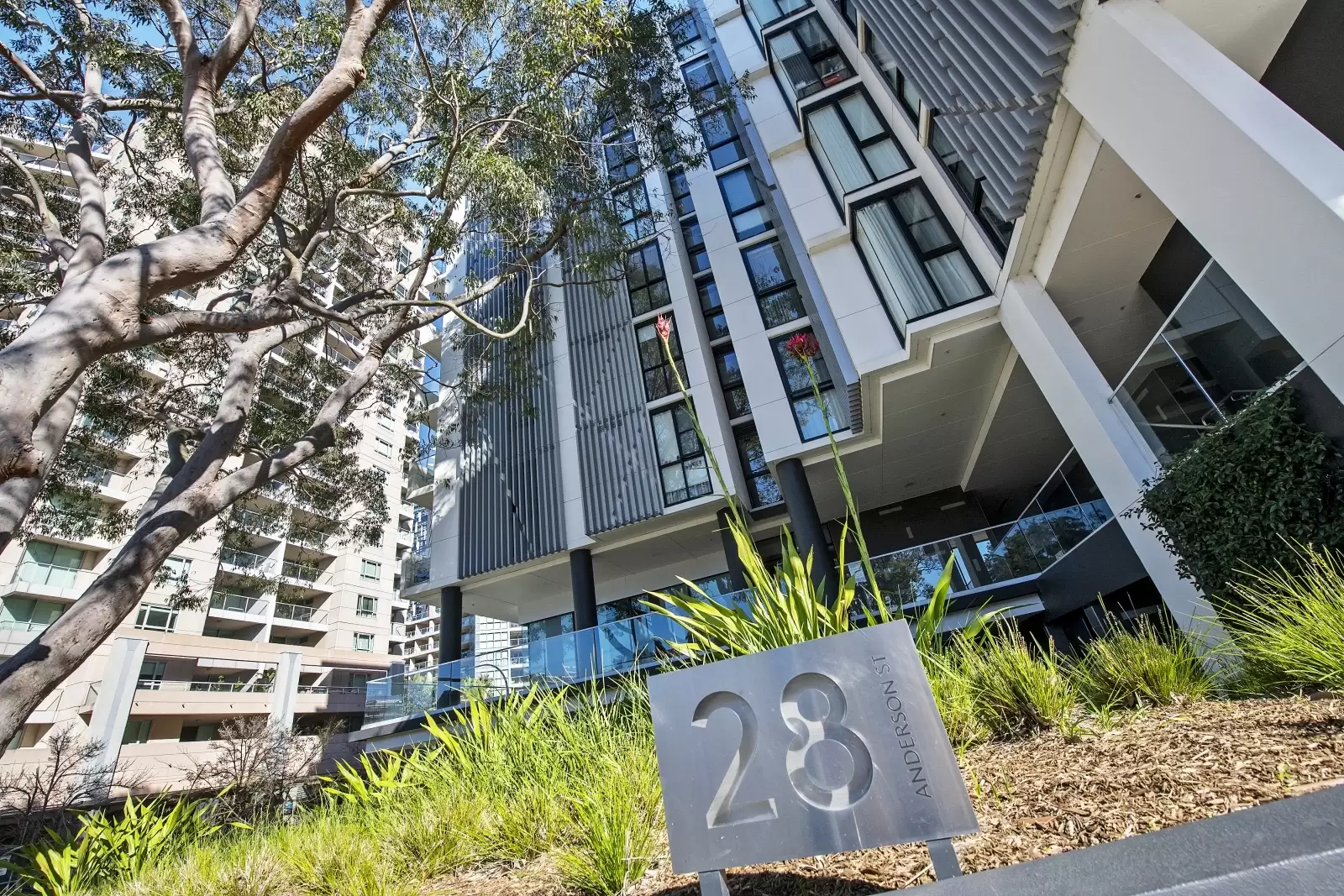 327/28 Anderson Street, Chatswood Leased by The Marshall Group - image 6