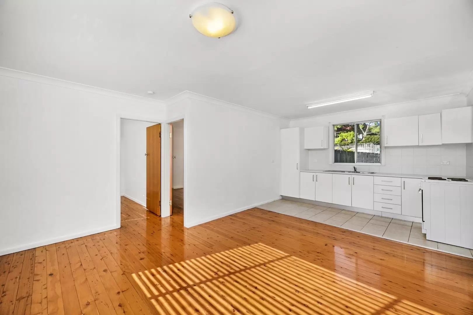 3 Edinburgh Road, Forestville Leased by The Marshall Group - image 5