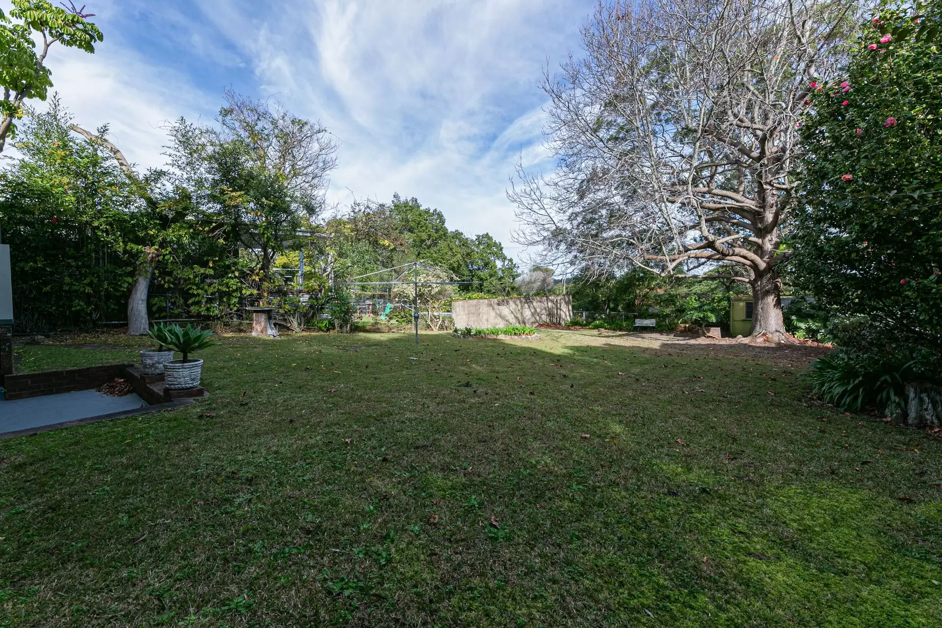 20 Curtin Avenue, Wahroonga Leased by The Marshall Group - image 8