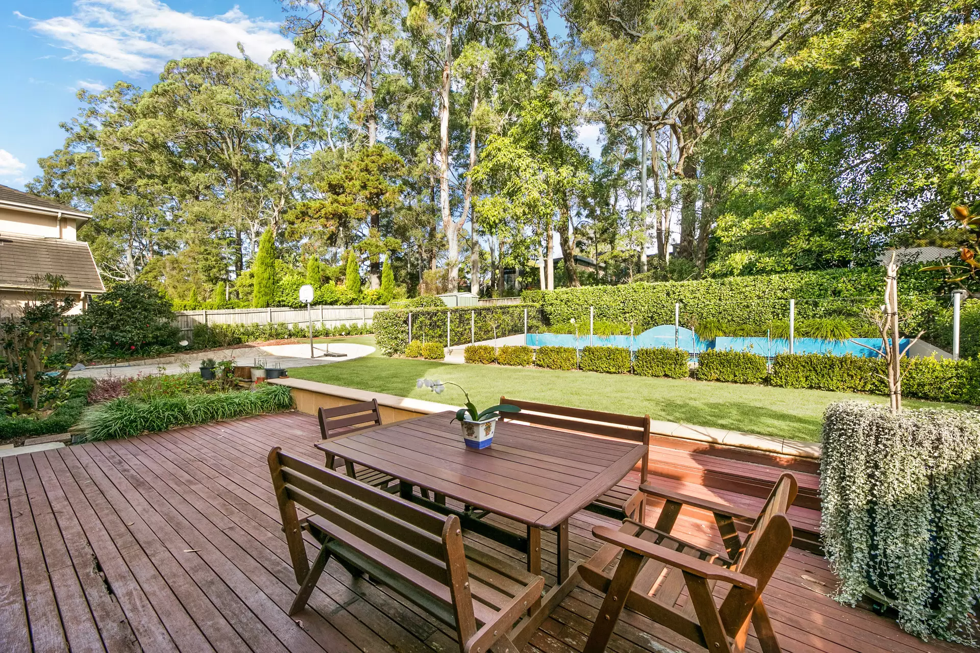 9 Walpole Place, Wahroonga Leased by The Marshall Group - image 3